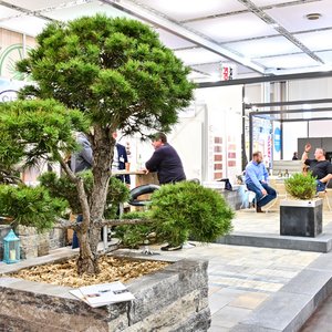 HAUS 2019, Messeimpression