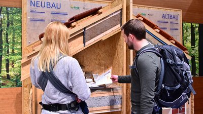 Sonderthema HOLZ